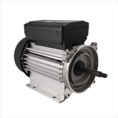 循環ポンプのための300-500W浸水許容モーター単一フェーズ電気1hp 3000rpm