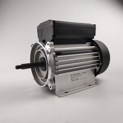 300-700W鉱泉および浴槽ポンプのための電気水ポンプモーター単一フェーズ3000rpm