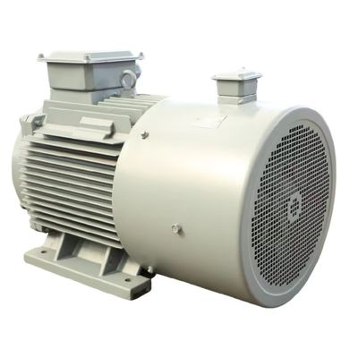 恒磁気同期モーター 冷却効率空気/水 300HP